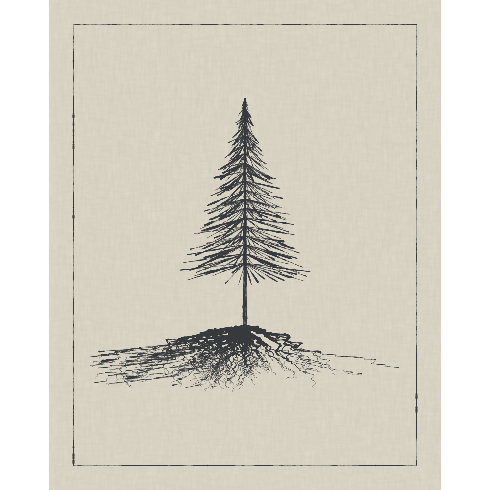 Roots #20