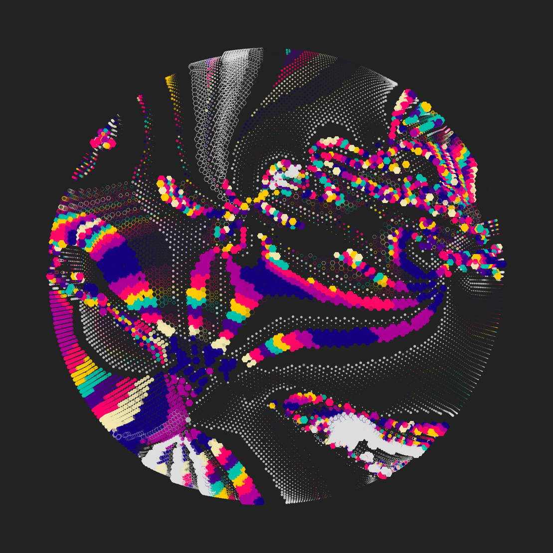 Still C #24443