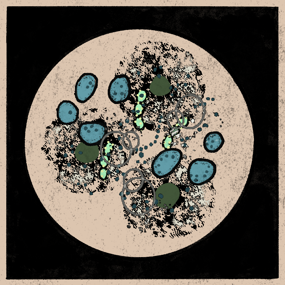 Microbes #217