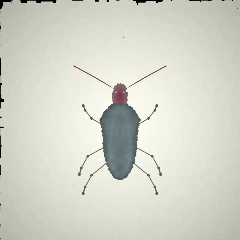 Beetle Sketches #16