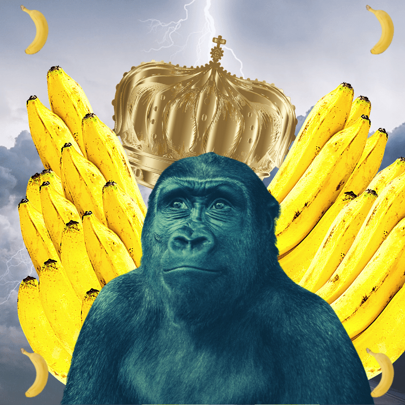 Banana gods #65