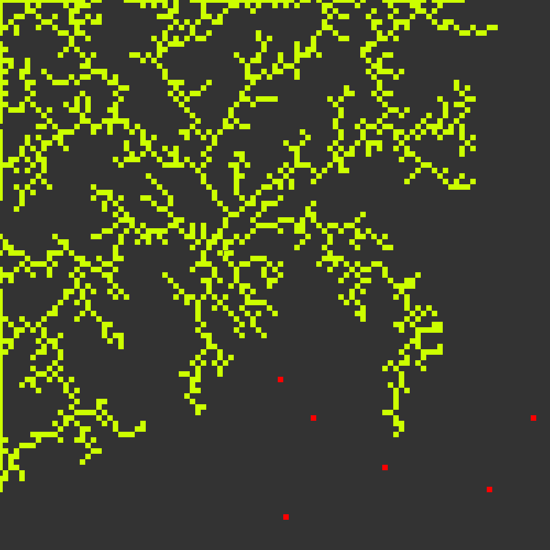 Branches -- #tez4nature #38