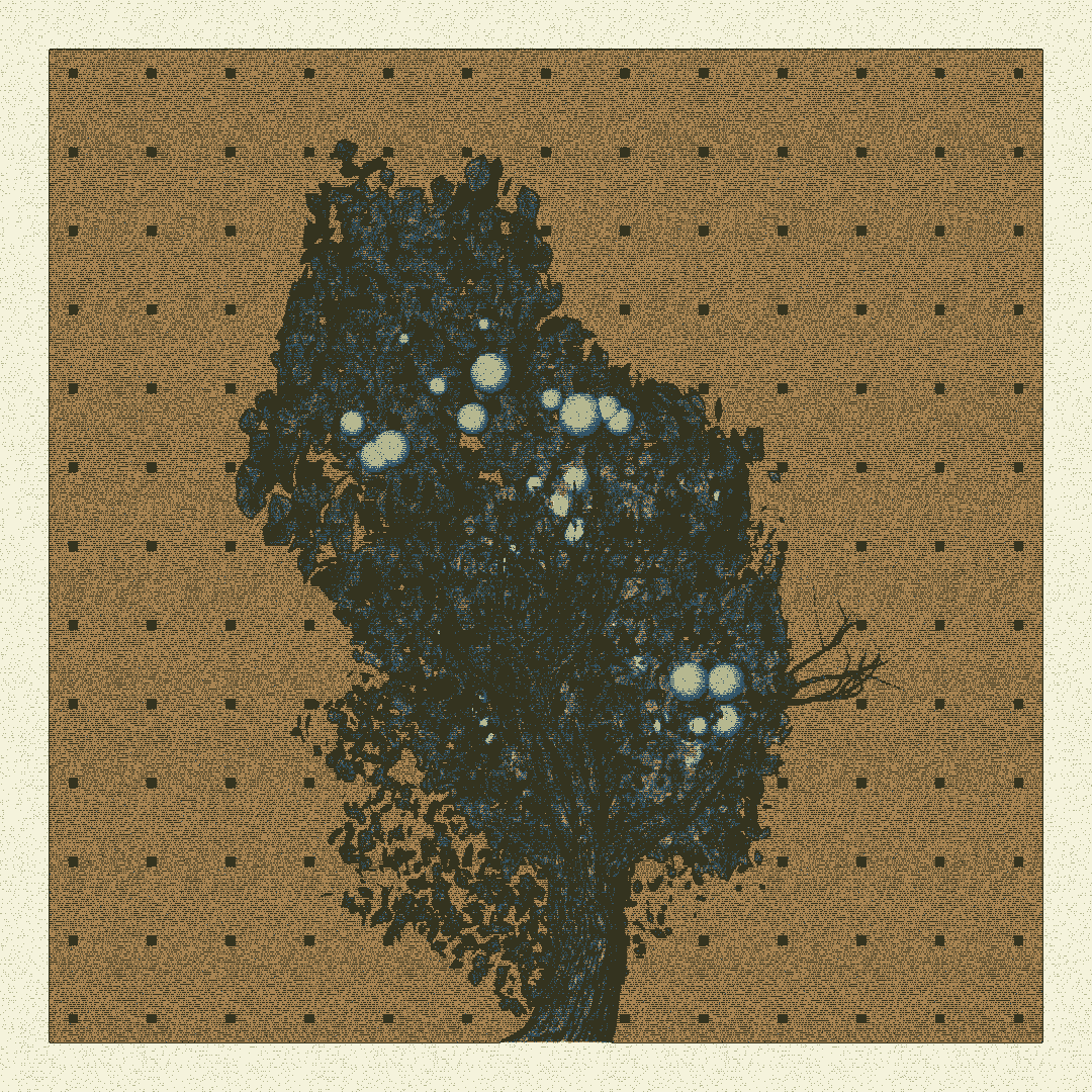 _argania[primaria] #35