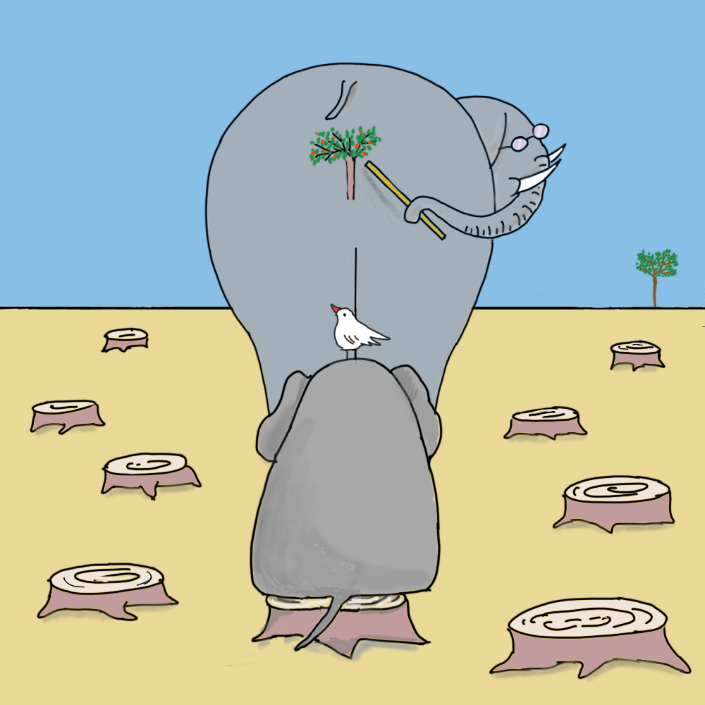 Elephant school #6