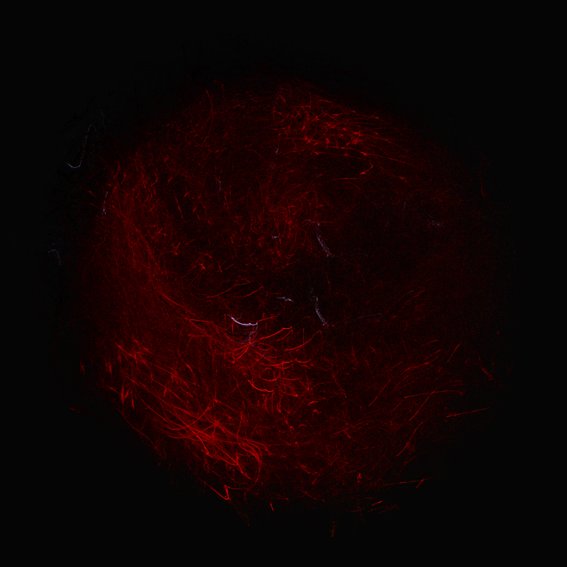 balls in vector fields #74