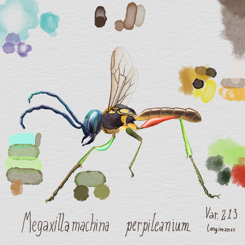 Randomic Brazilian Insects 1 #13