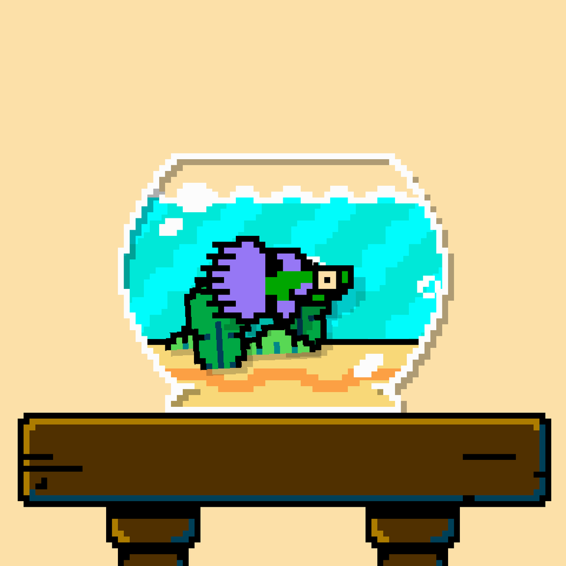 betta fish #109