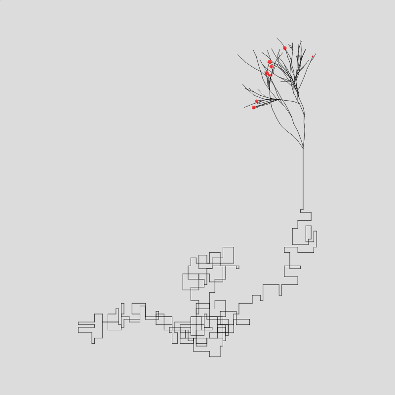 Algorithmic Tree #2