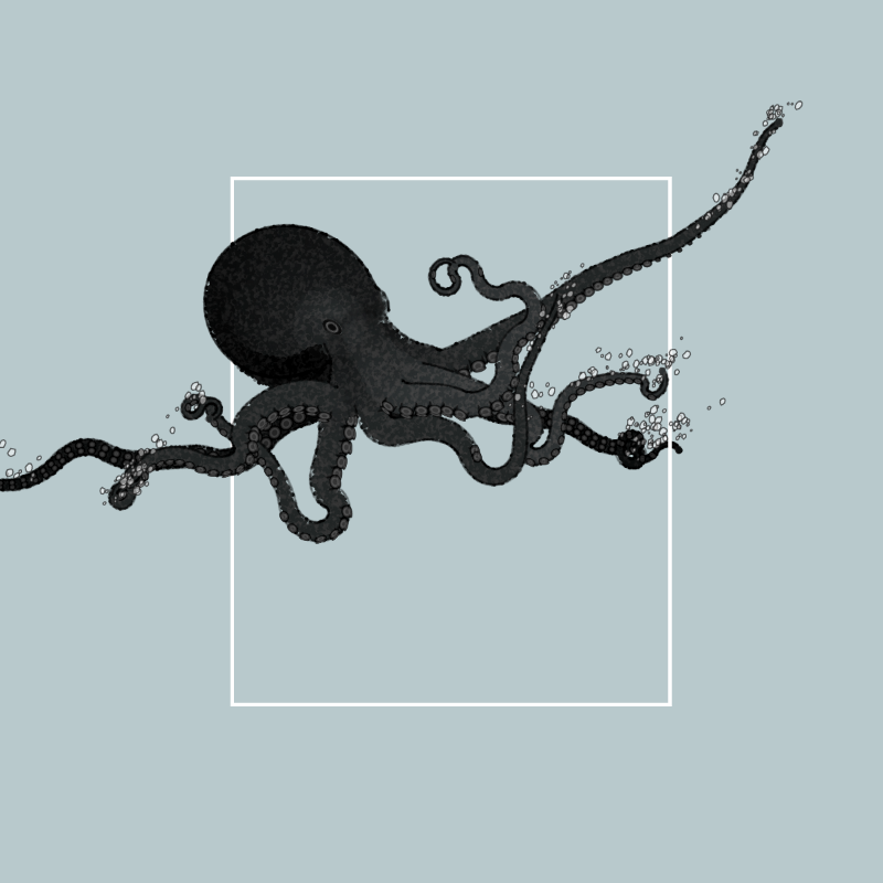 the generative octopuses #37