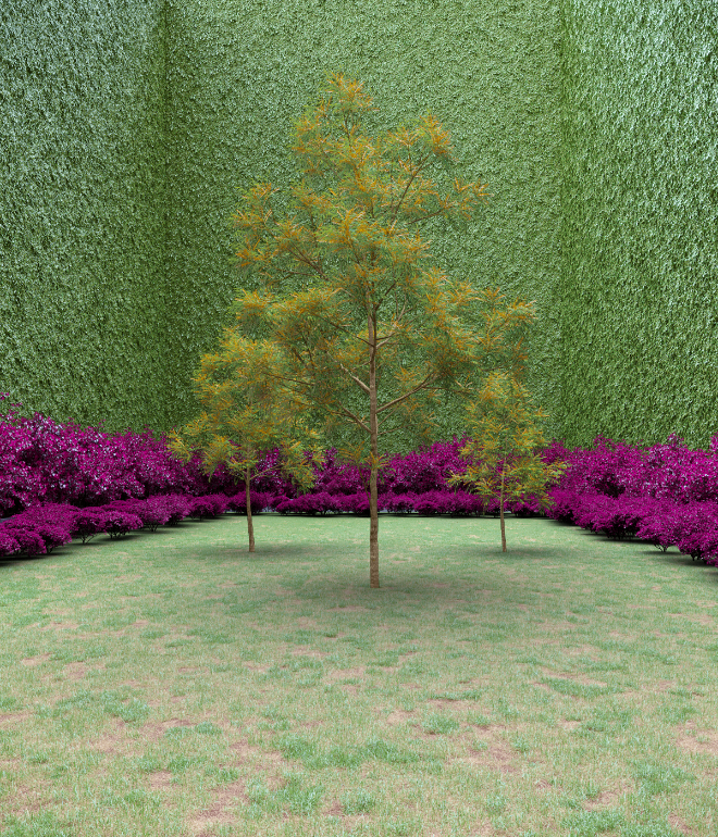 Garden of Imagination #26