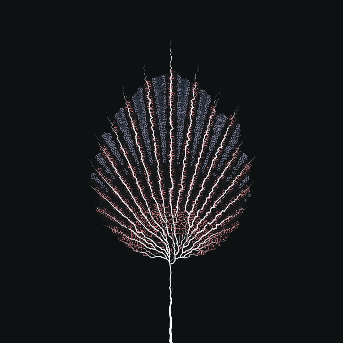 Leaf study #42