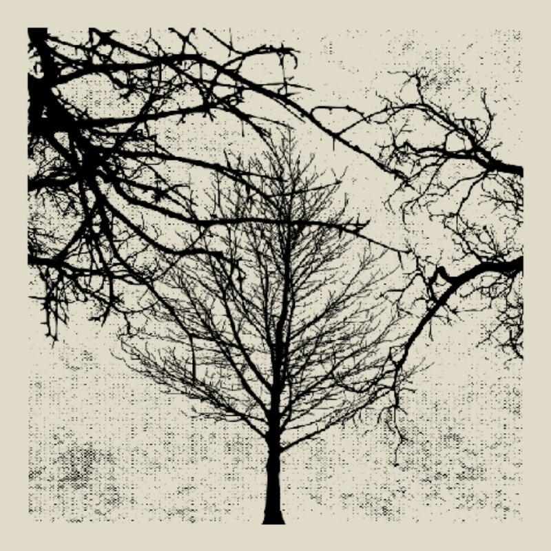Forest of Shadows #41