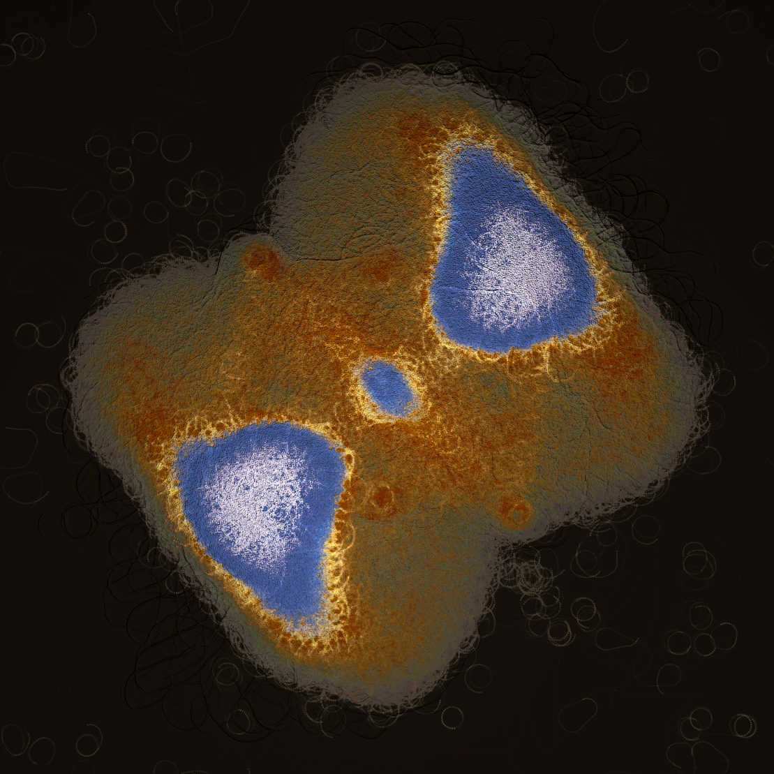 coalescence #152