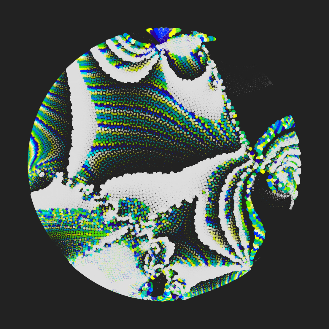 Still C #26955