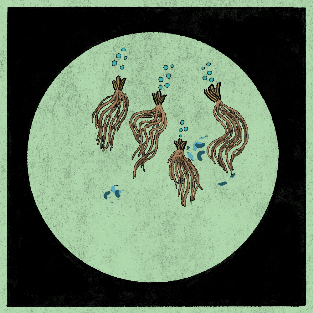 Microbes #251