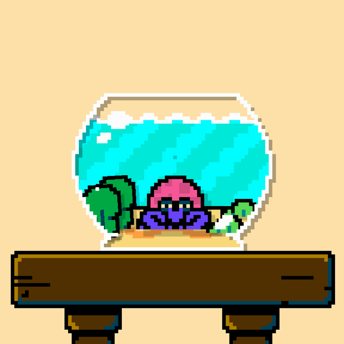 hermit crab #97