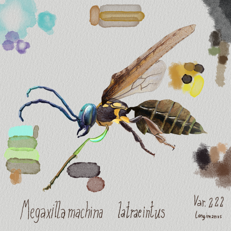 Randomic Brazilian Insects 1 #5