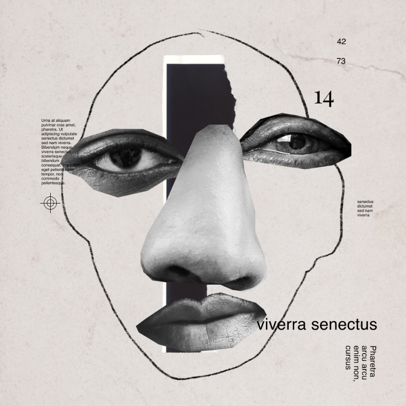 Collage faces #127