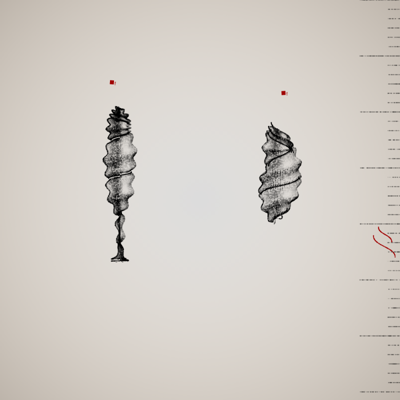 Two Specimen #223