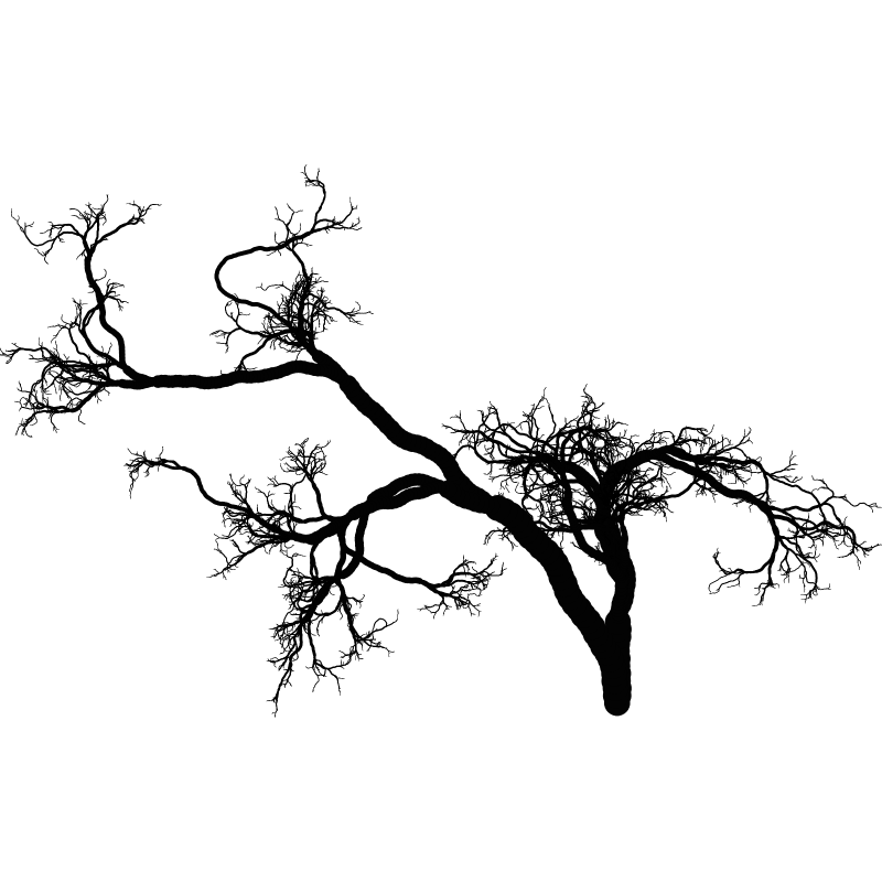 Tree 01 #53