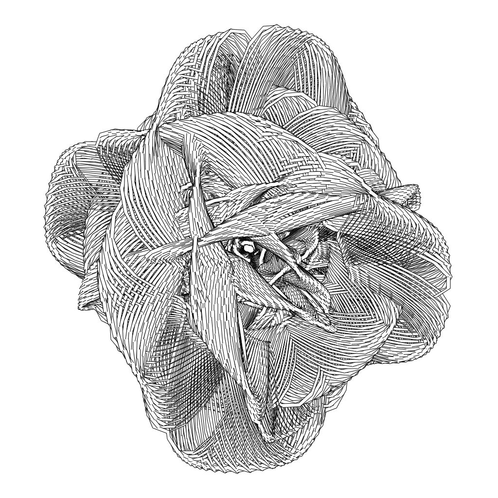 LL21 Entangled (3) #588