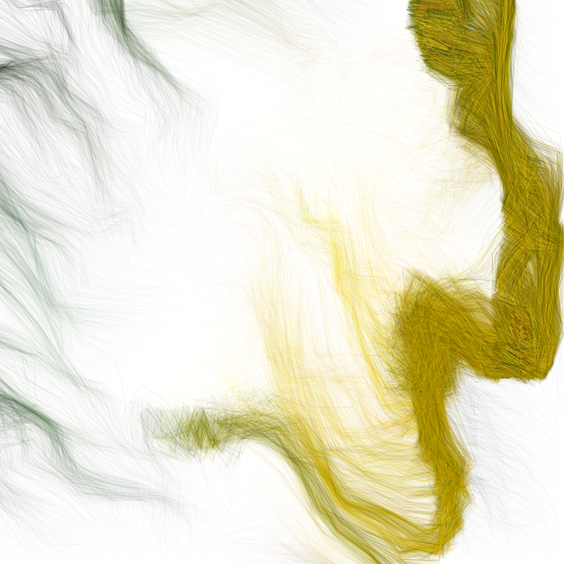 Hypericum #27