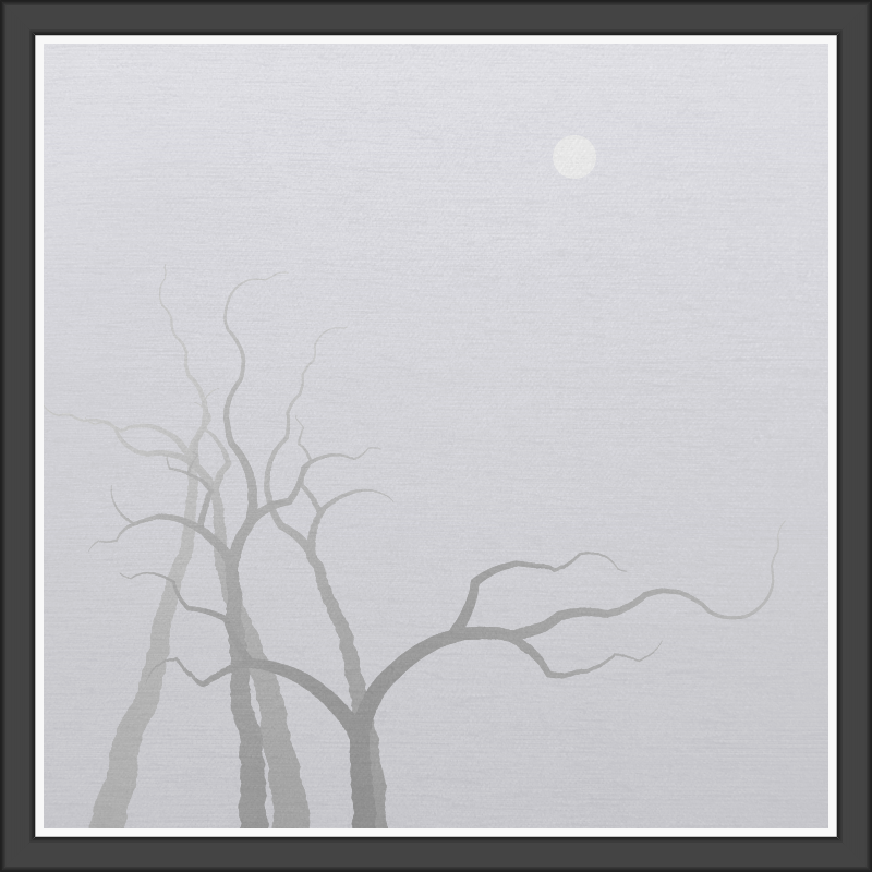 The Foggy Trees #120