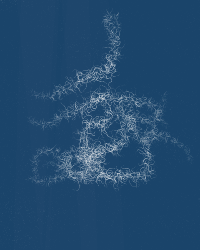 Cyanotypes #245