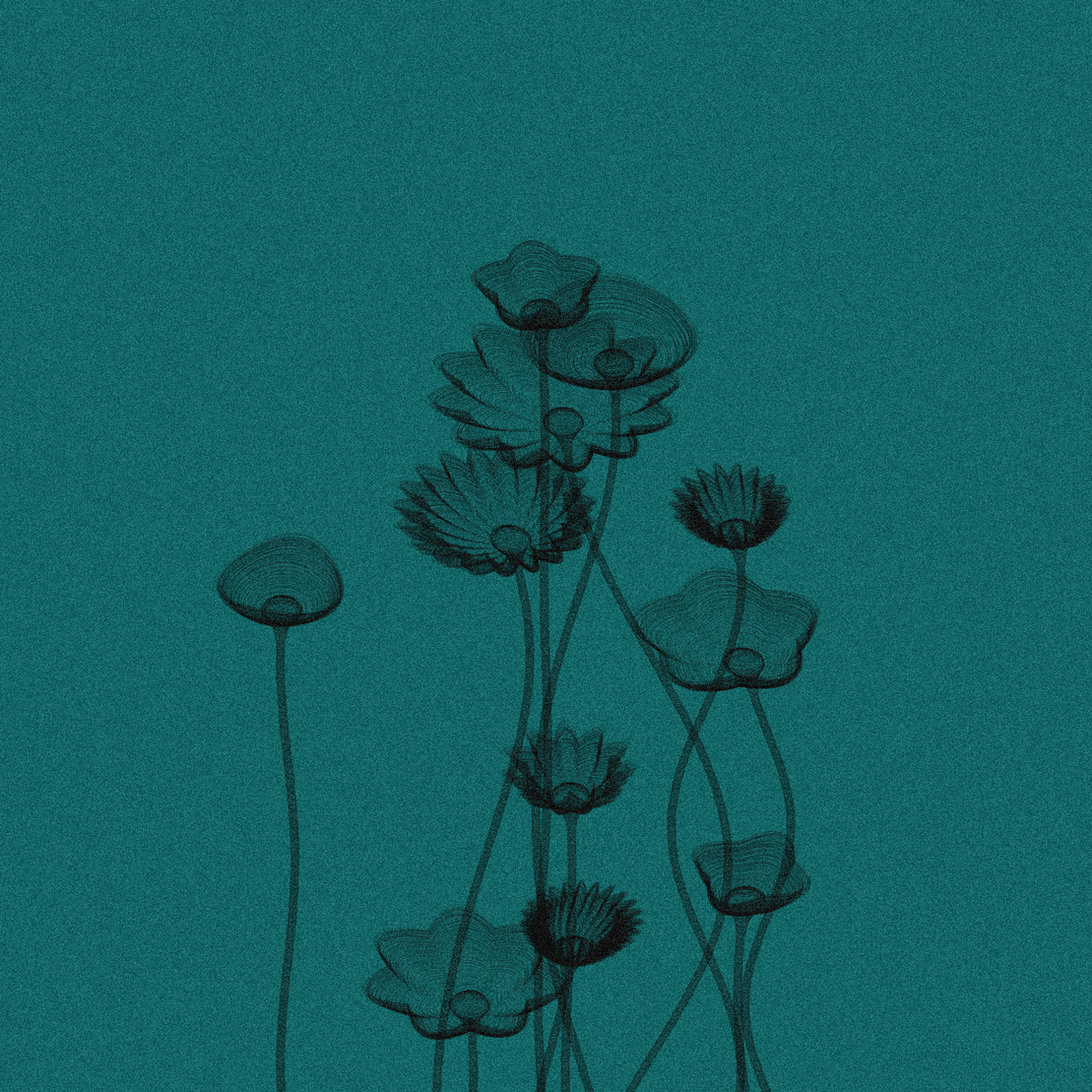 Code Flowers #88