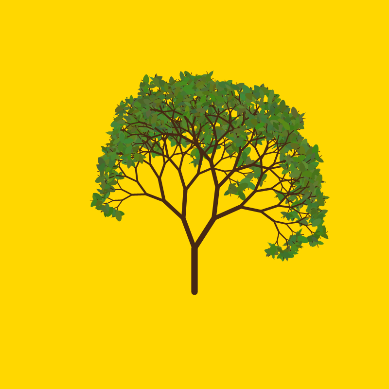 Tree of Life #6