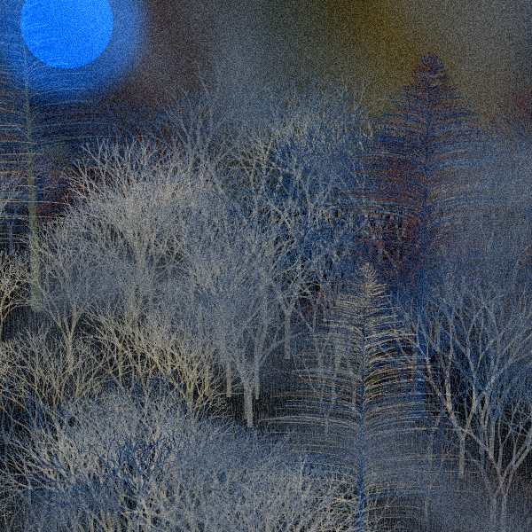 Moonlit Native Bush #127