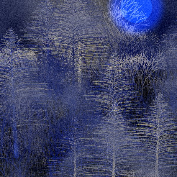 Moonlit Native Bush #79