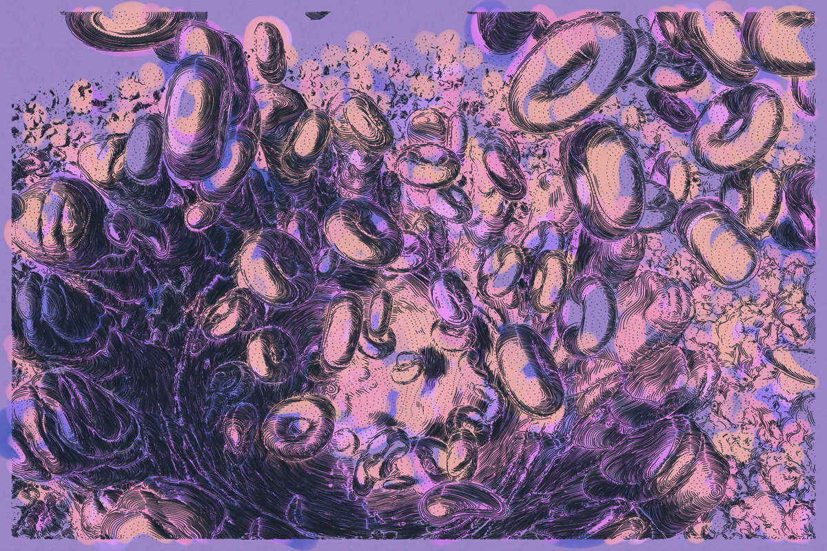 Release #8