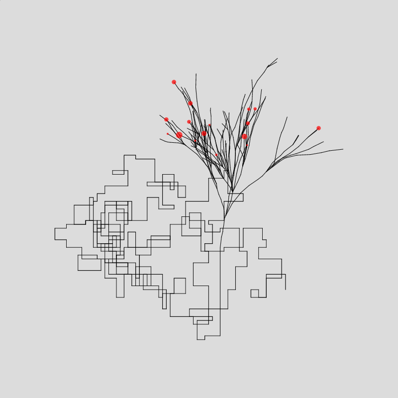 Algorithmic Tree #3