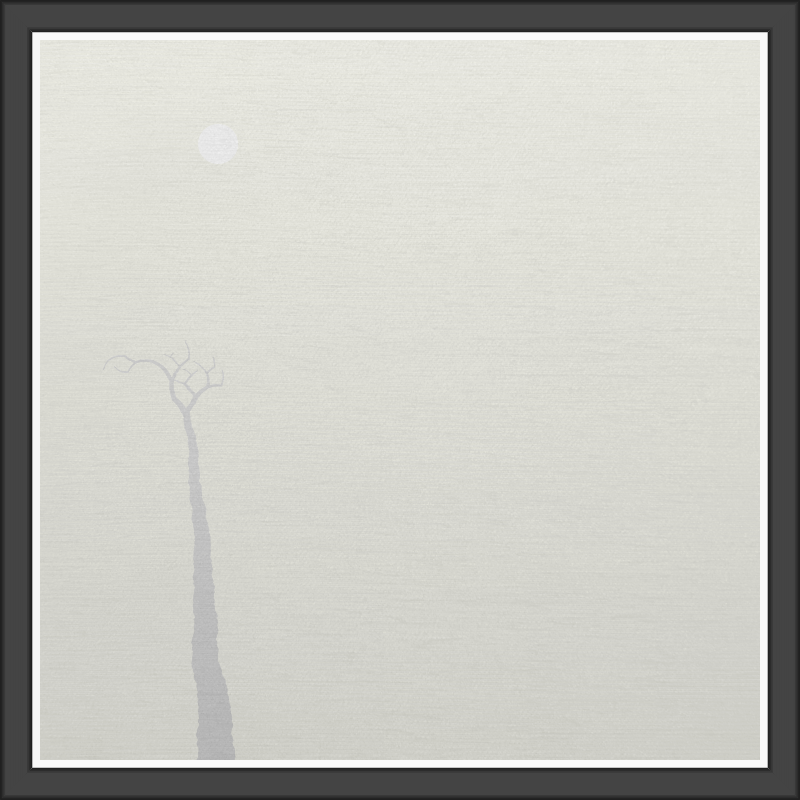 The Foggy Trees #60