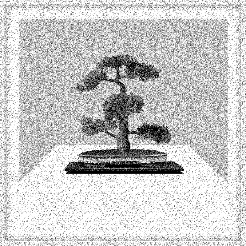 Bonsai Bonanza #514