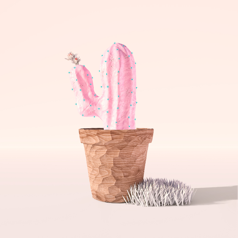 3D Crypto Cacti #17