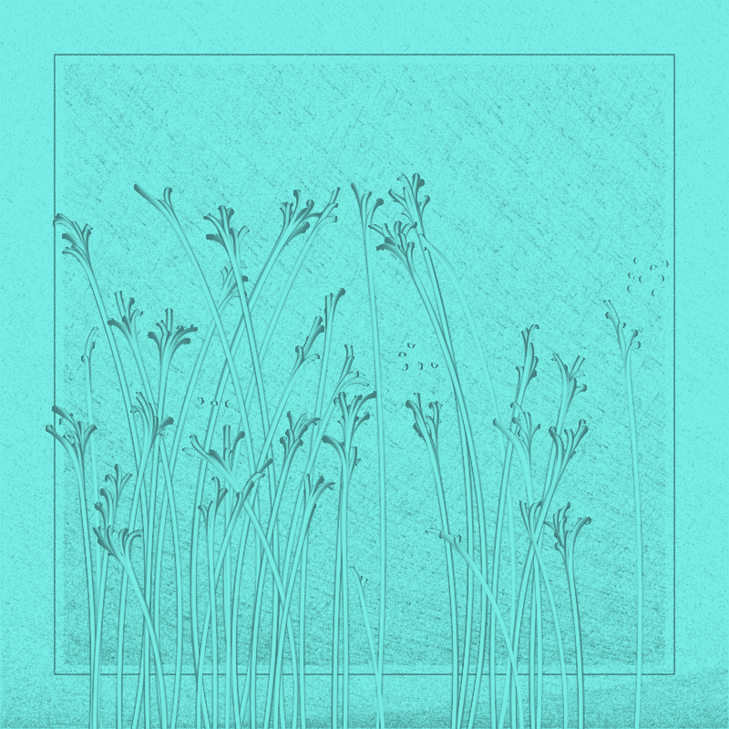 string_pllu #29
