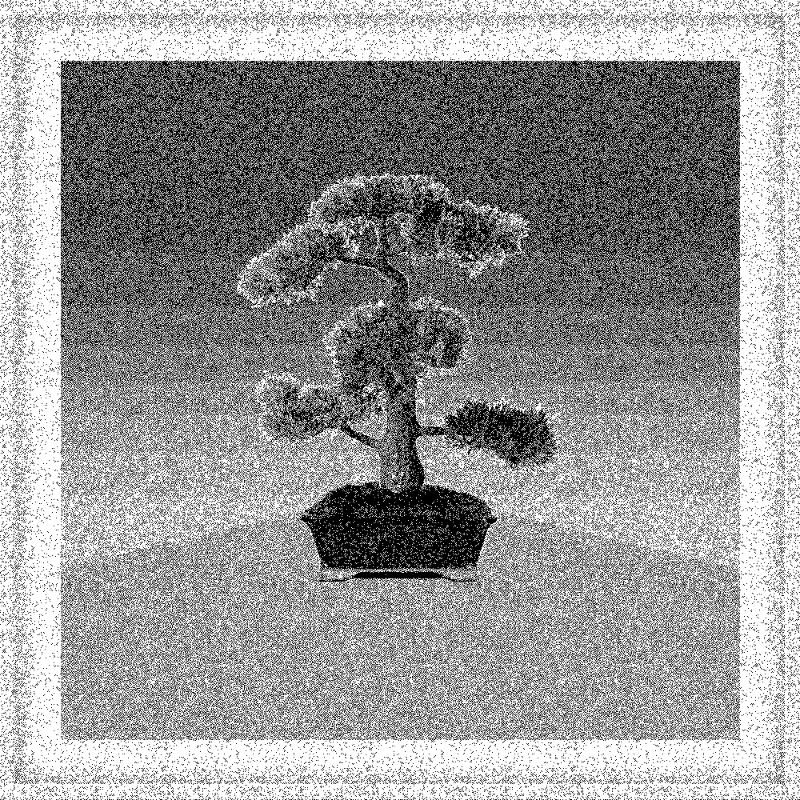 Bonsai Bonanza #85