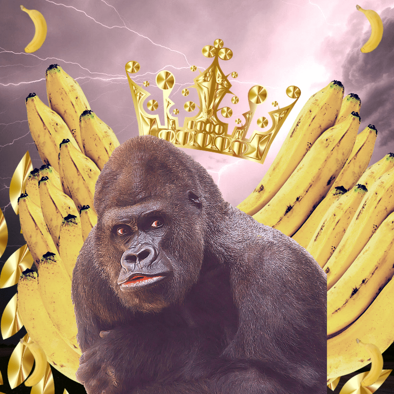 Banana gods #66