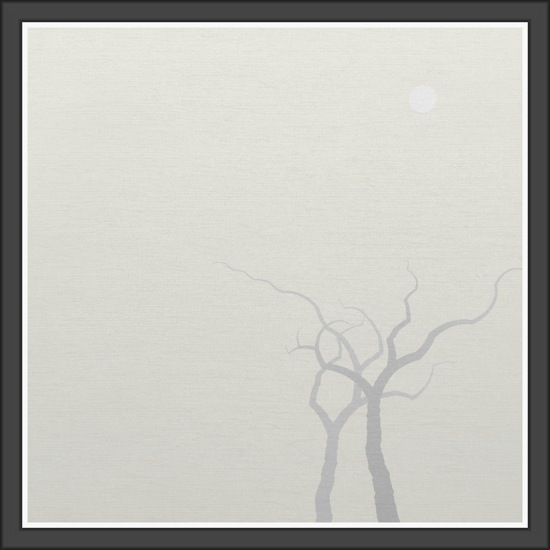 The Foggy Trees #65