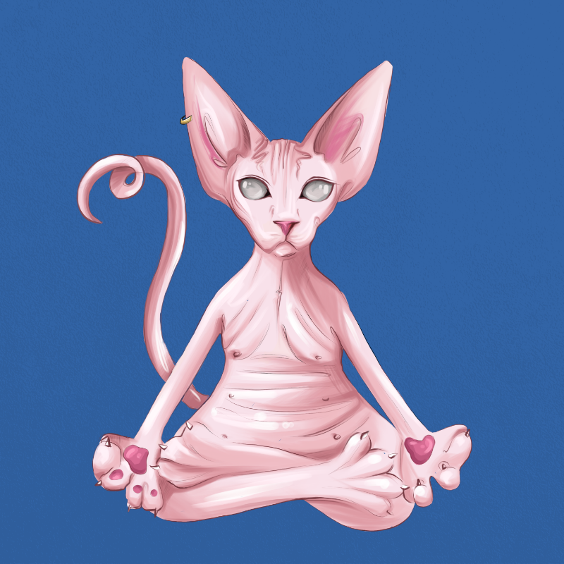 YogaCat #13