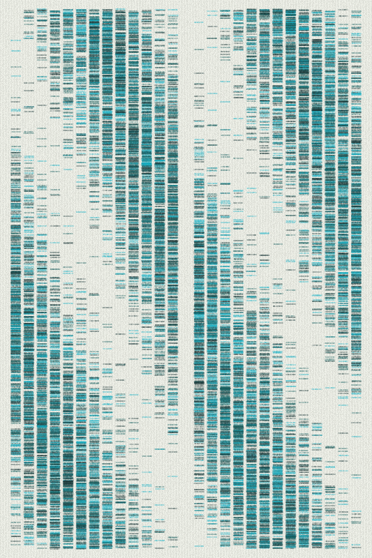 Sequence #317