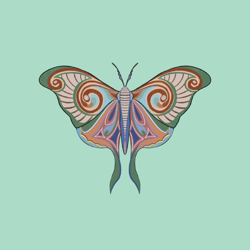 The Moth Experiment 2.0 P1 #1