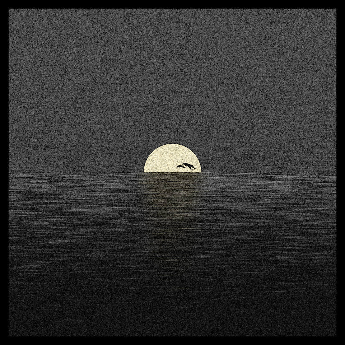 sunrise sunset #16