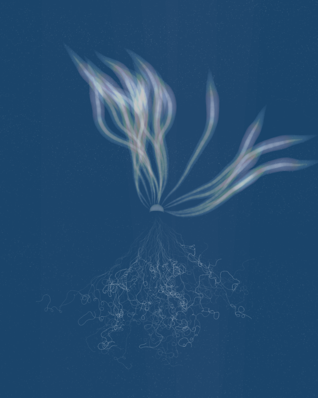 Cyanotypes #167