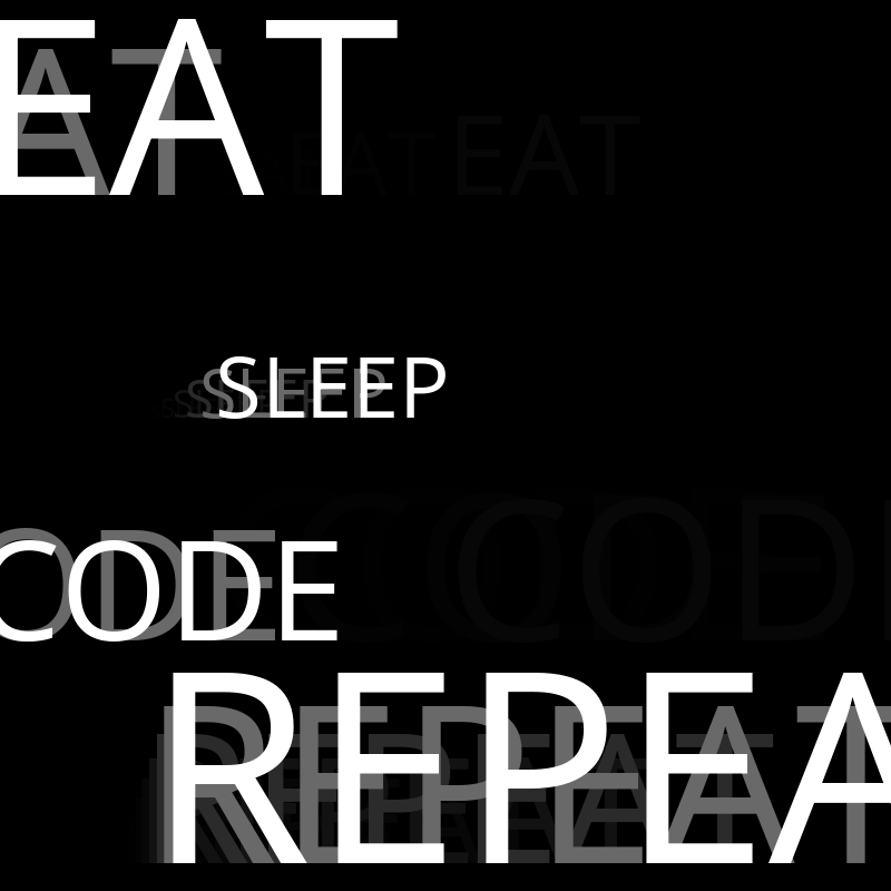 Eat Sleep Code Repeat #16