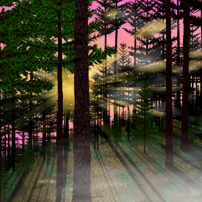 Forest Sunrise #5