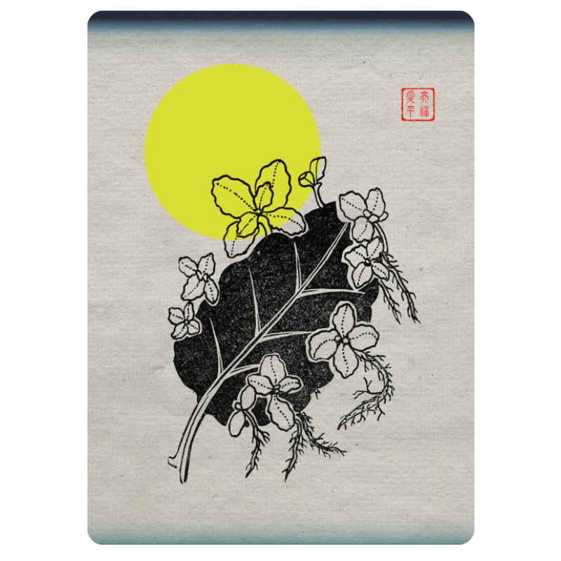 Zen flower card  #43