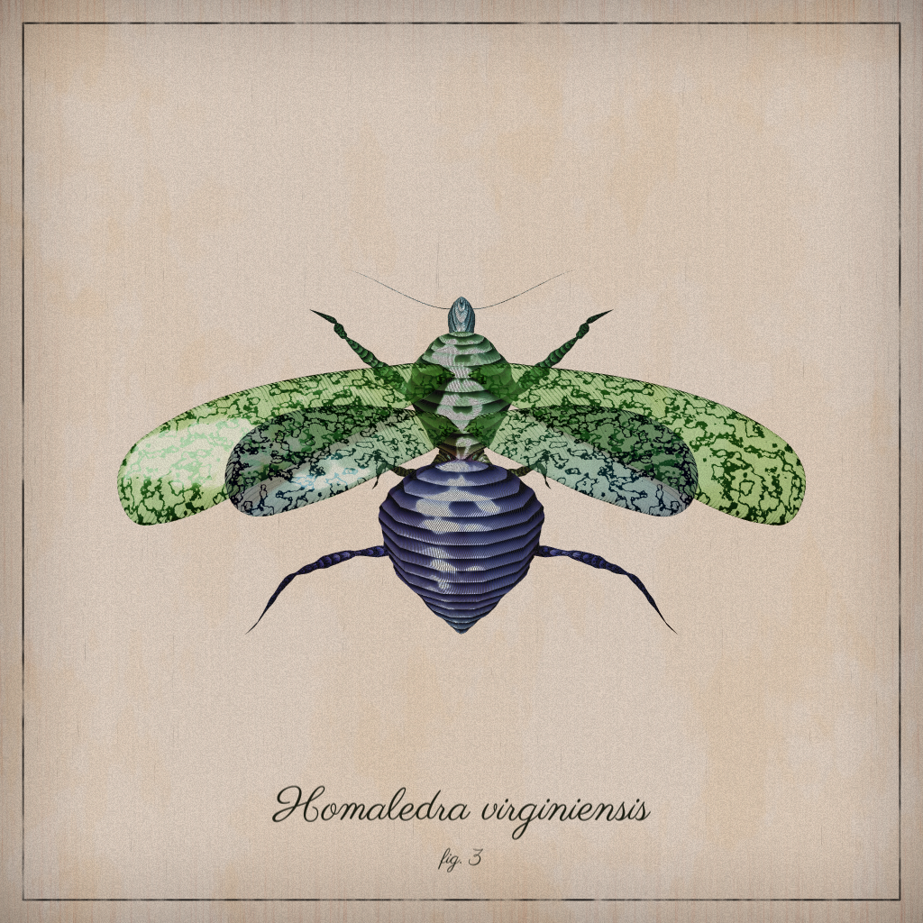 ProcGen Entomology #155